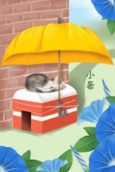小暑节气伞下小猫海报背景设计