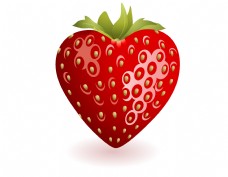 酸甜可口新鲜草莓矢量图