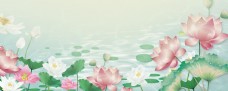 传统节气彩绘两色花朵夏至节气横版背景素材