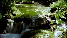 小溪溪水视频素材