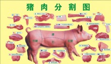 冷鲜肉猪肉分割图