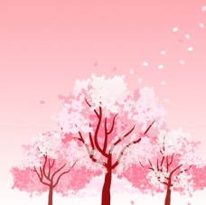樱桃园美丽的樱花背景