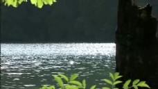 星光湖泊美景素材背景视频